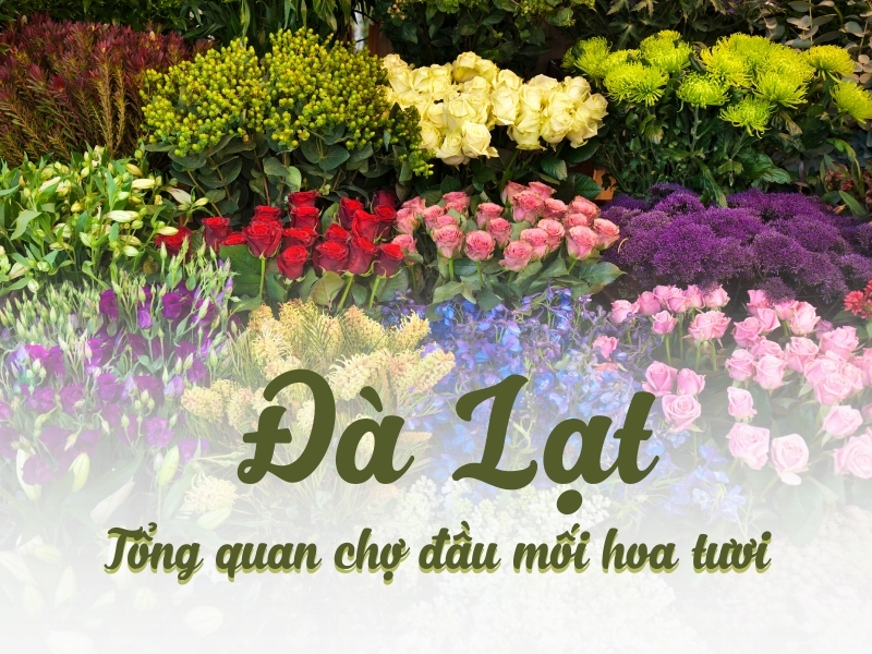 Tổng quan về chợ đầu mối hoa tươi Đà Lạt