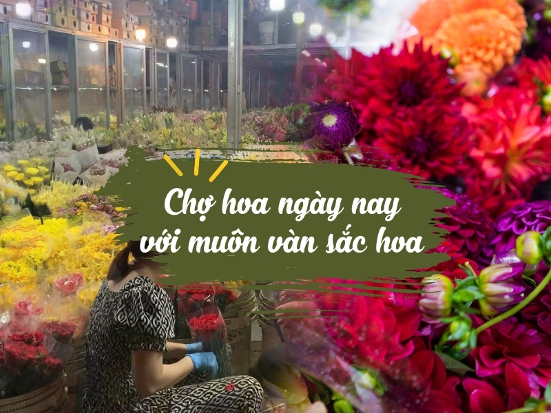 Chợ đầu mối hoa tươi ở Đà Lạt ngày nay