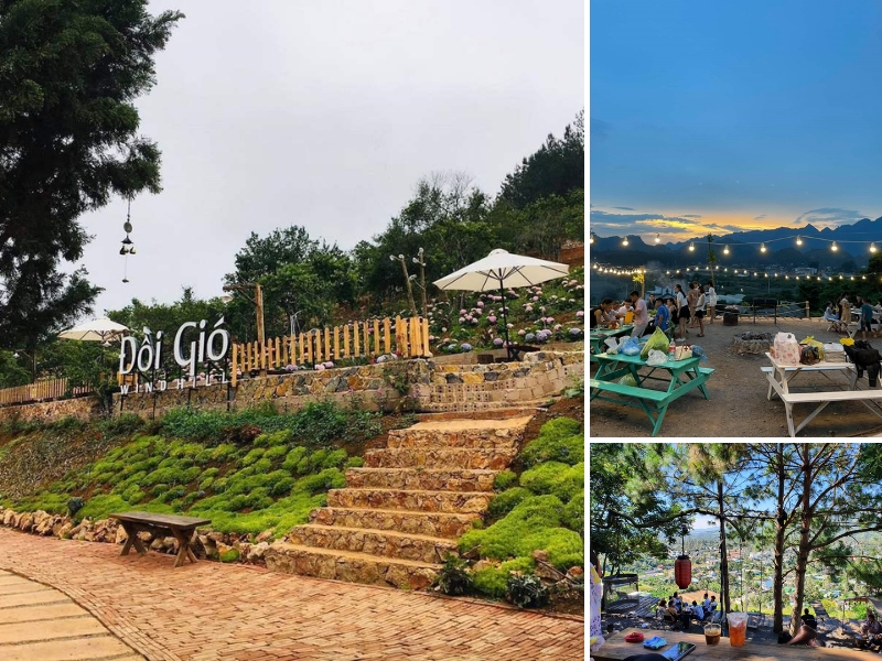 Đồi Gió Coffee thư giãn giữa rừng thông với không gian trong lành, đồ uống đa dạng