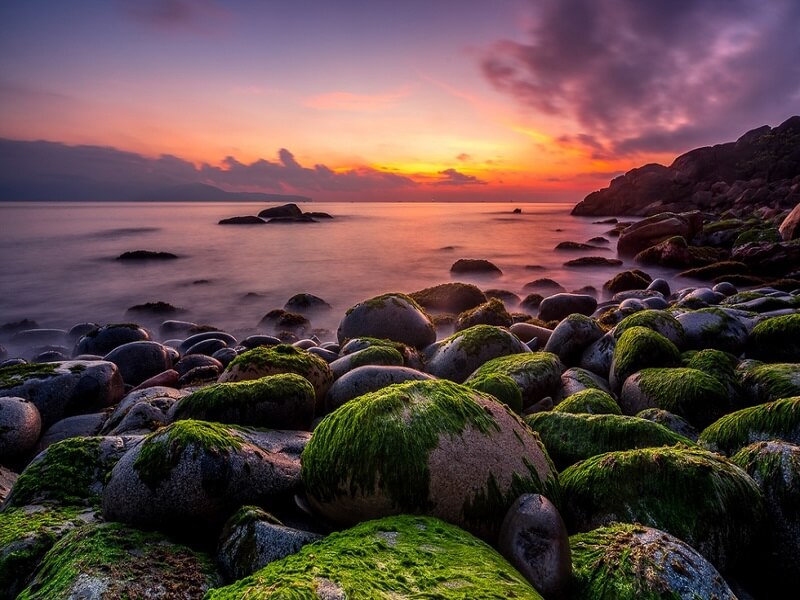 Bãi tắm nhìn xa như tổ trứng chim khổng lồ