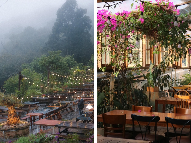 Tiệm cafe Túi Mơ To với không gian cực chill giúp thư giãn tinh thần