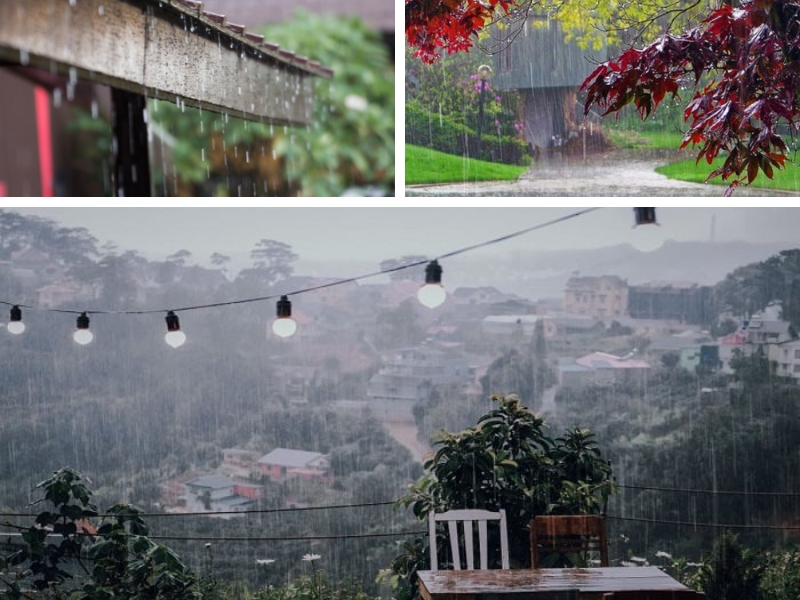 Trải nghiệm lãng mạn về những ngày mưa Đà Lạt