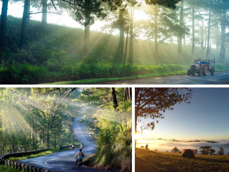 Mùa khô Đà Lạt - Tận hưởng bầu trời trong xanh và không khí mát mẻ