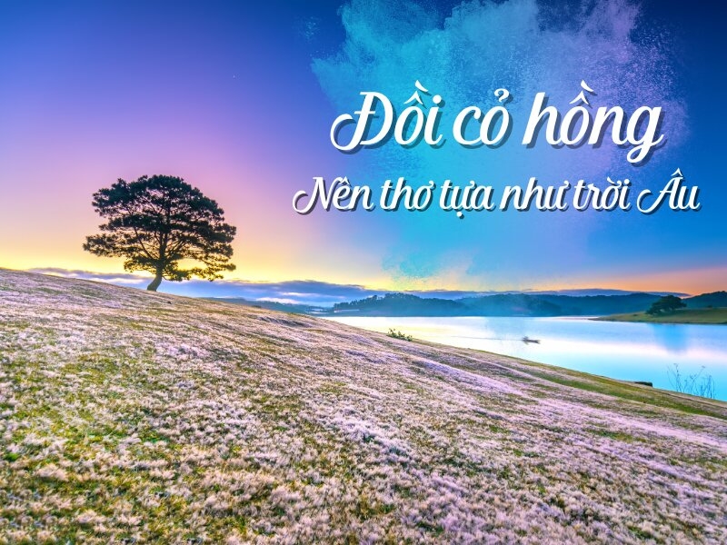 Check-in đồi cỏ hồng với background tựa trời Âu