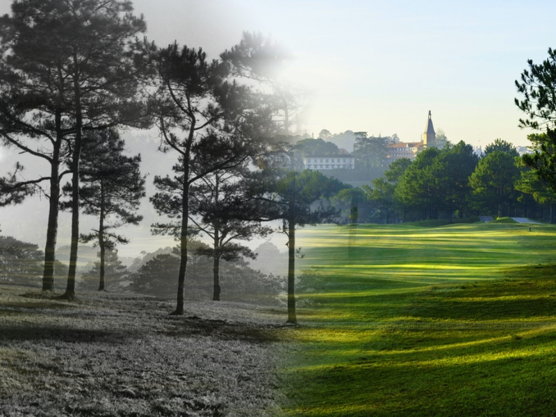 Hành trình hình thành Đồi cù