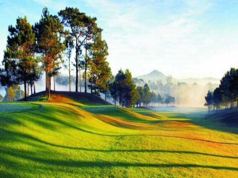 Không gian xanh mênh mông và thơ mông của Đồi Cù