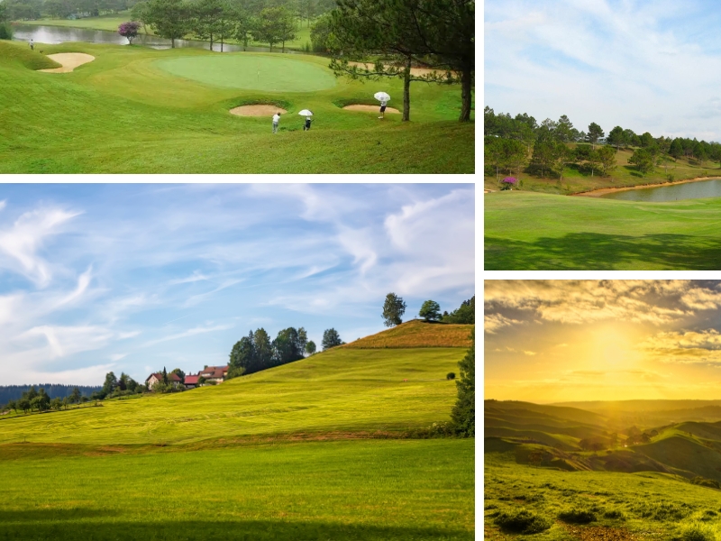 Điểm check-in không thể bỏ qua của du khách trên bãi cỏ xanh mát