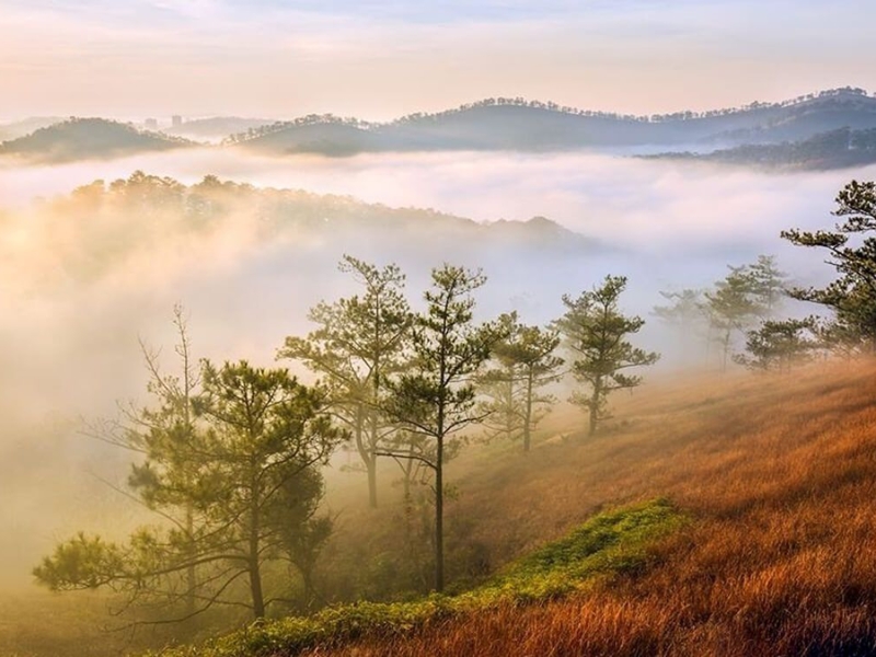 Những khoảnh khắc đẹp của du khách tại đồi Đa Phú