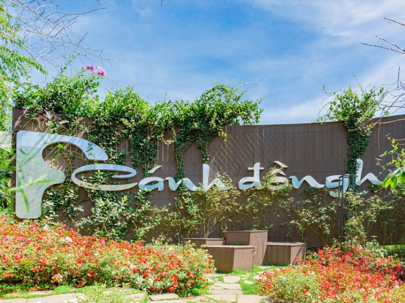 Cafe F Cánh Đồng Hoa vừa thưởng thức cafe, vừa đắm mình trong biển hoa