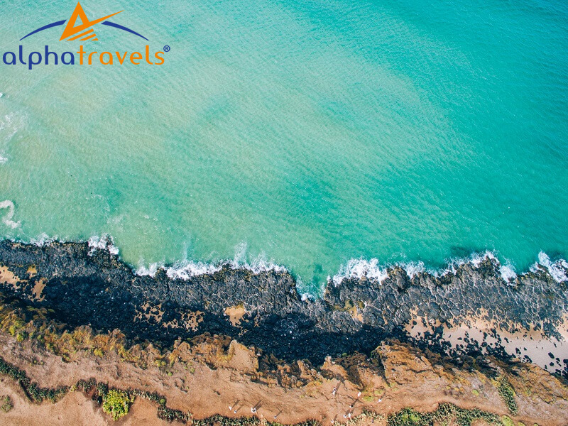 Một kiệt tác độc đáo của thiên nhiên ban tặng