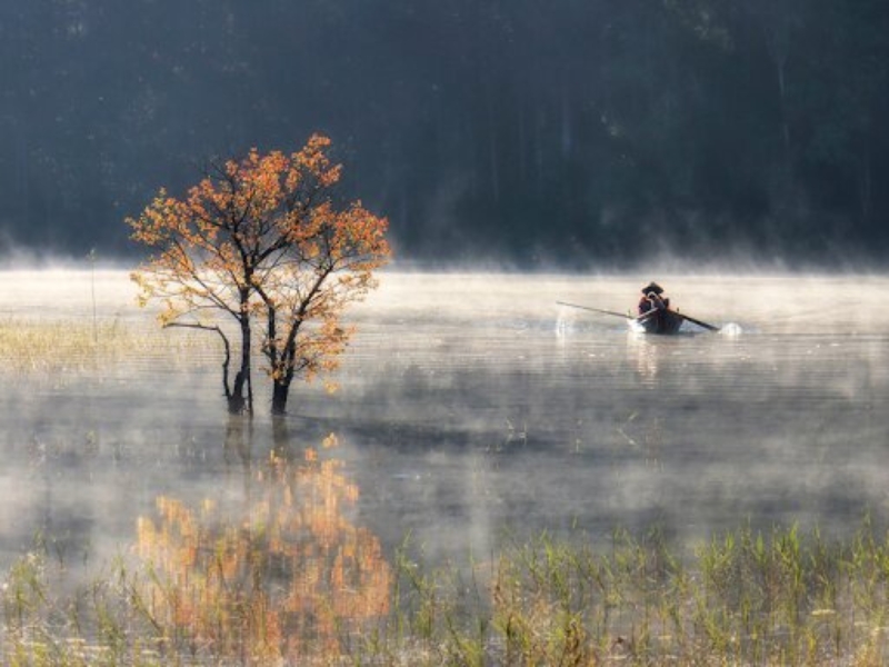 Mùa thu lãng mạn với khung cảnh màn sương mờ ảo