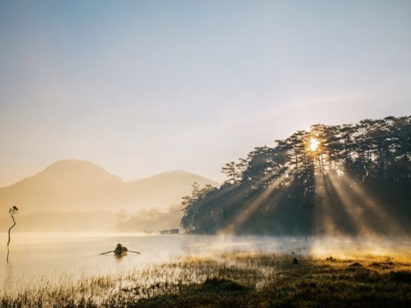 Sống ảo bên hồ Tuyền Lâm Đà Lạt và rừng thông