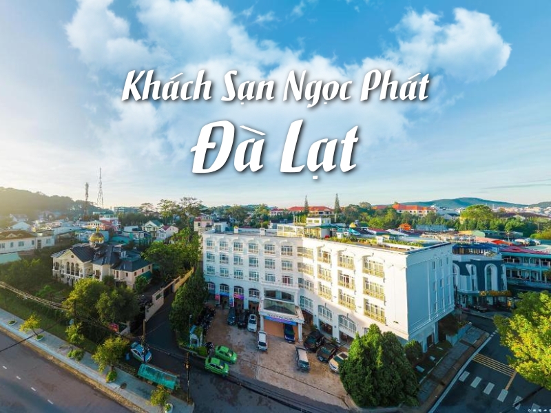 Khách sạn Ngọc Phát Đà Lạt – Gần gũi, tiện nghi và ấm cún