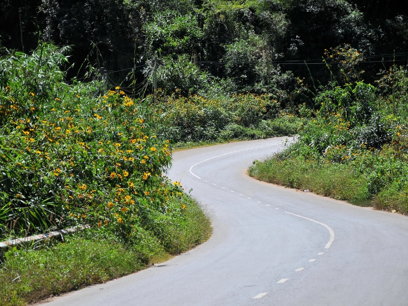 Cảnh đẹp như họa trên đường Cầu Đất - Dran - Phi Nôm