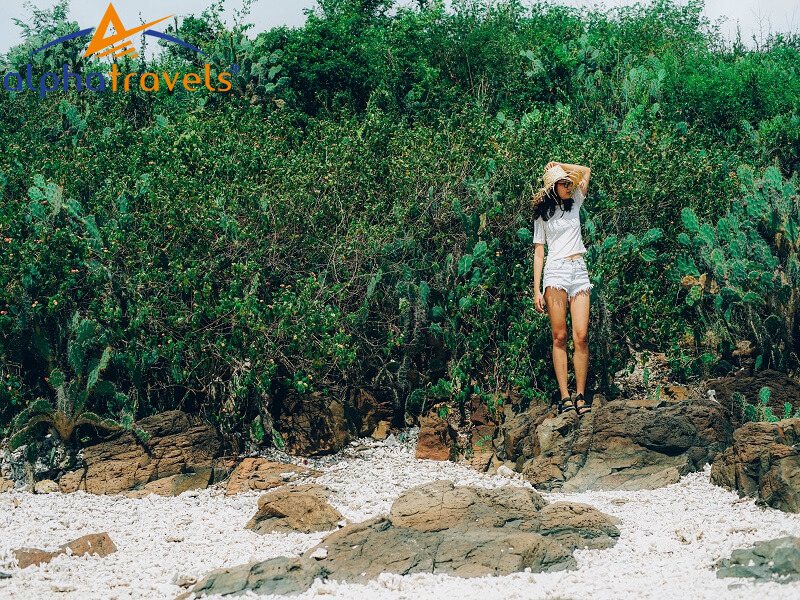 Nét đẹp hoang sơ Hòn Chùa đốn tim nhiều du khách