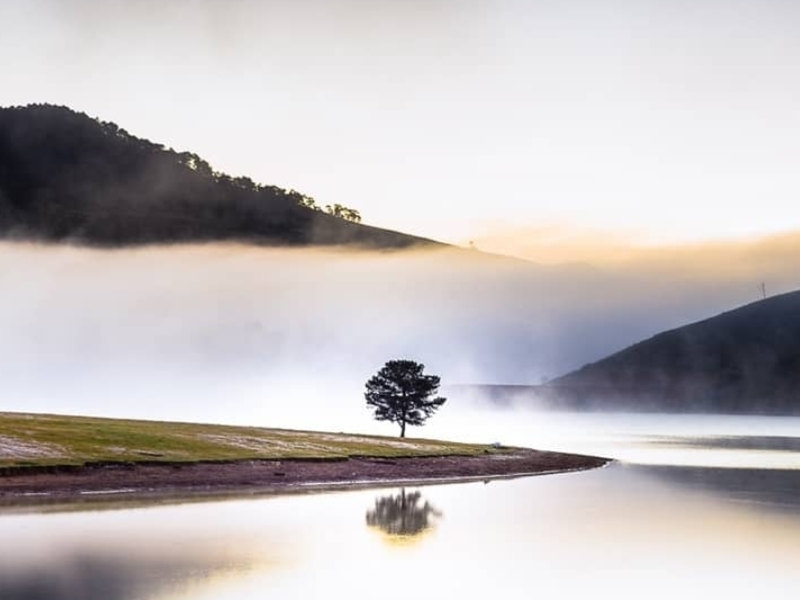Cùng săn mây và ngắm bình minh tại khu du lịch suối vàng Đà Lạt