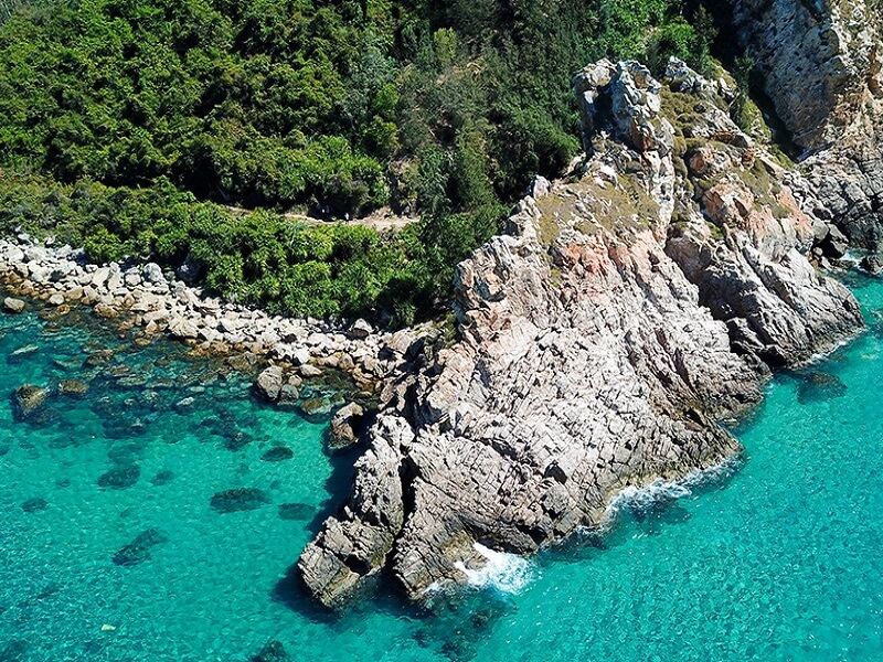 Mũi Vi Rồng Bình Định