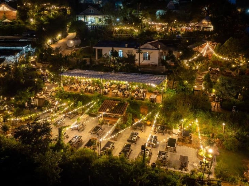 Túi Mơ To - Thiên đường cúc họa mi giữa lòng thành phố ngàn hoa