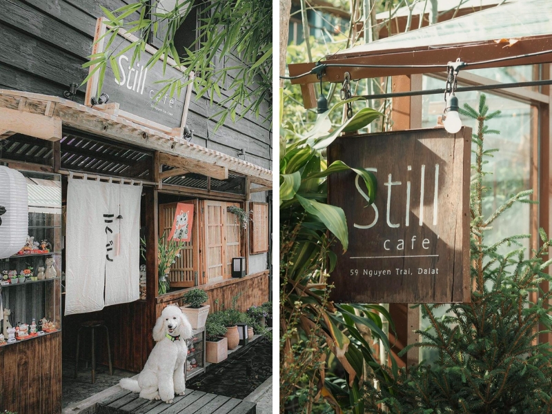 Still Café – Góc nhỏ bình yên lý tưởng giữa lòng Đà Lạt