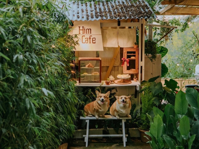 Him Cafe – Ngắm Đà Lạt lung linh về đêm trong không gian thơ mộng