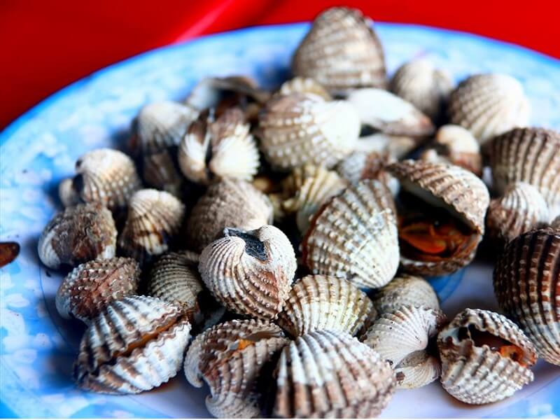 Sò Huyết Đầm Ô Loan Phú Yên