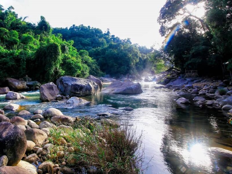 Vẻ đẹp thiên nhiên hoang dã, yên bình