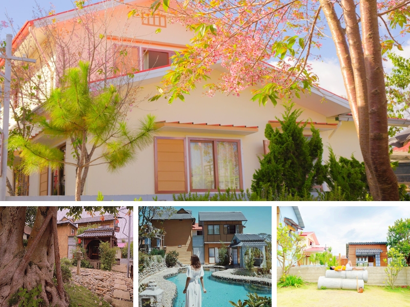 Nhiều góc sống ảo sáng tạo và thú vị