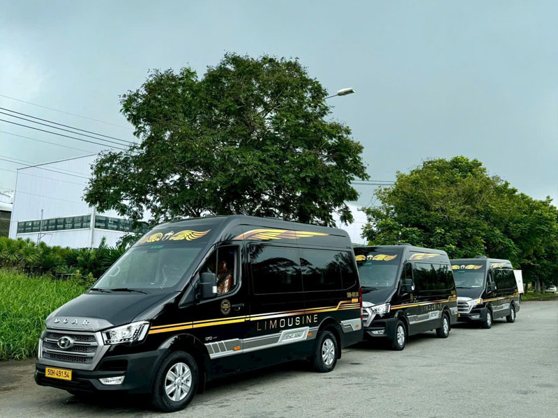Dịch Vụ Thuê Xe Limousine Đà Lạt - Xe Mới, Chất Lượng Cao