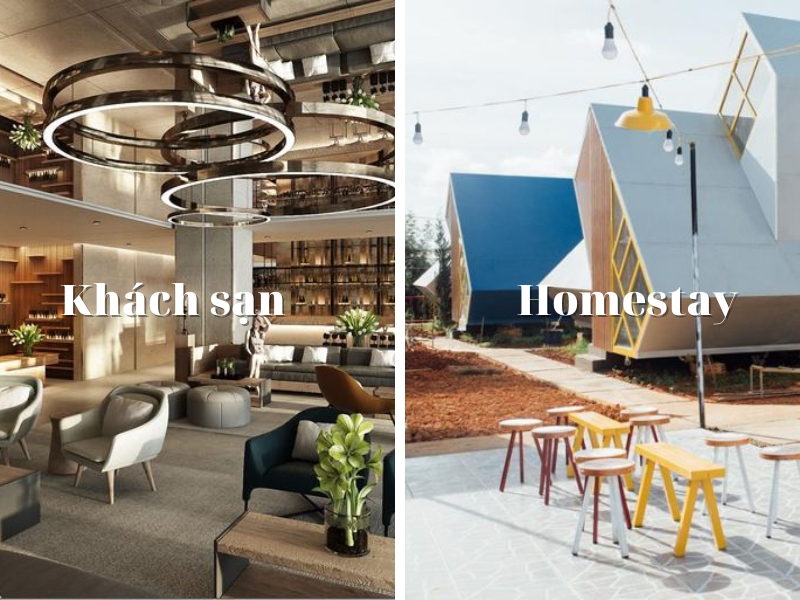 Một số Homestay và Khách sạn gần Thung lũng tình yêu