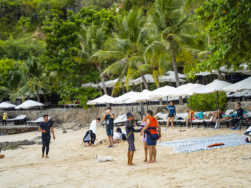 Trải nghiệm du bay tại Bãi Tranh Nha Trang