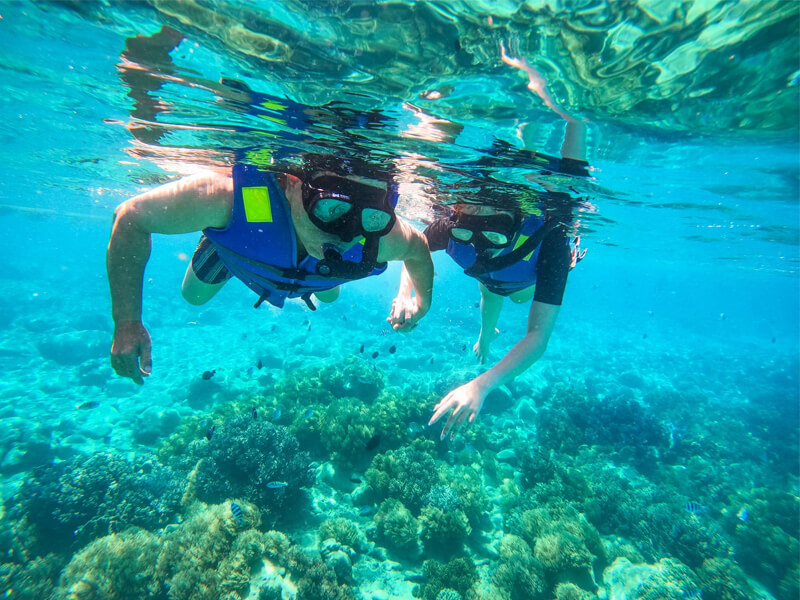 Khám phá đại dương với dịch vụ lặn biển