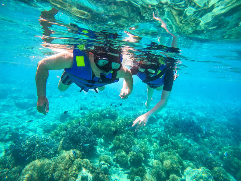 Khám phá đại dương với dịch vụ lặn biển