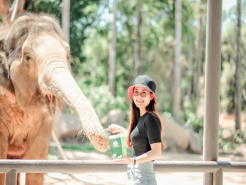 Kinh nghiệm thăm quan Safari Phú Quốc