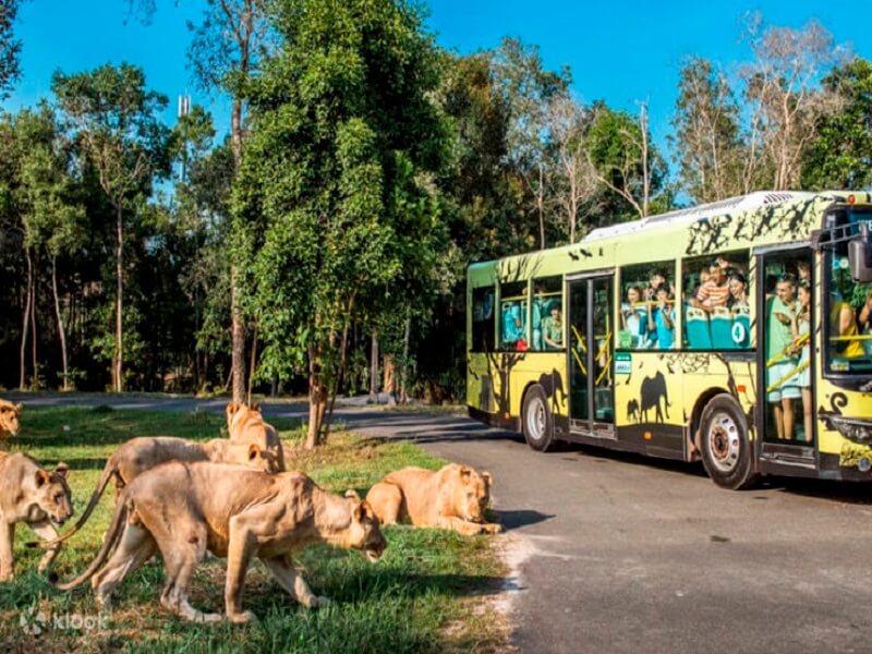 Tham quan khu công viên động vật