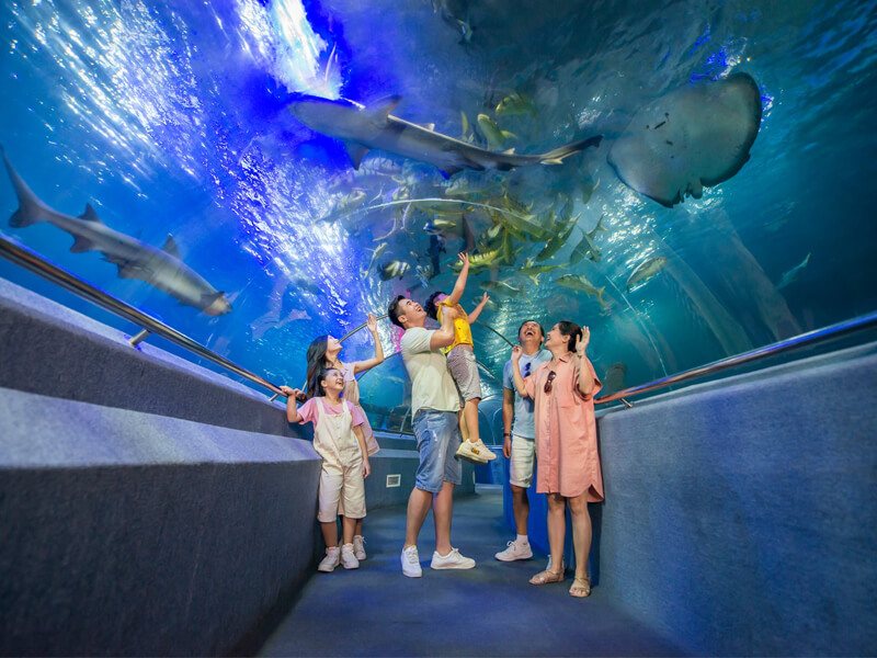 Thủy cung khám phá đại dương kỳ thú
