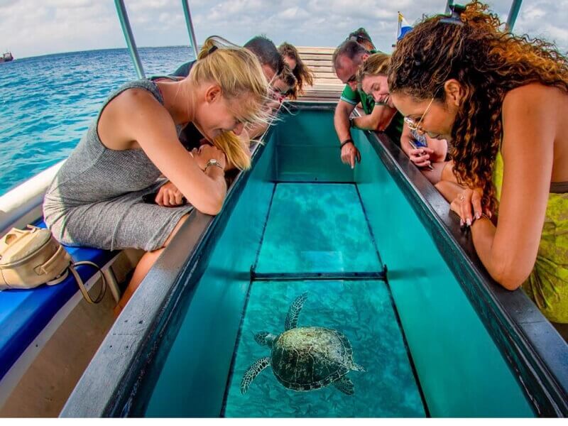 Đi tàu đáy kính tham quan Vịnh