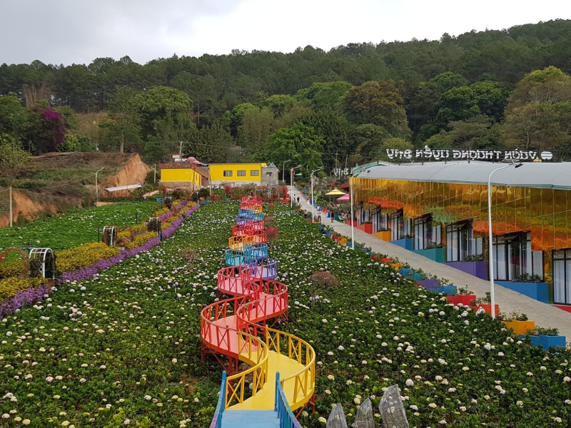 Cây cầu xuyên vườn hoa cẩm tú cầu tại Vườn Thượng Uyển Bay