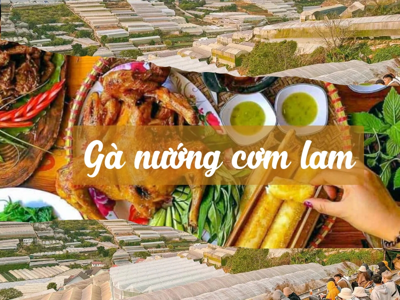Thưởng thức món gà nướng cơm lam với hương vị đậm đà
